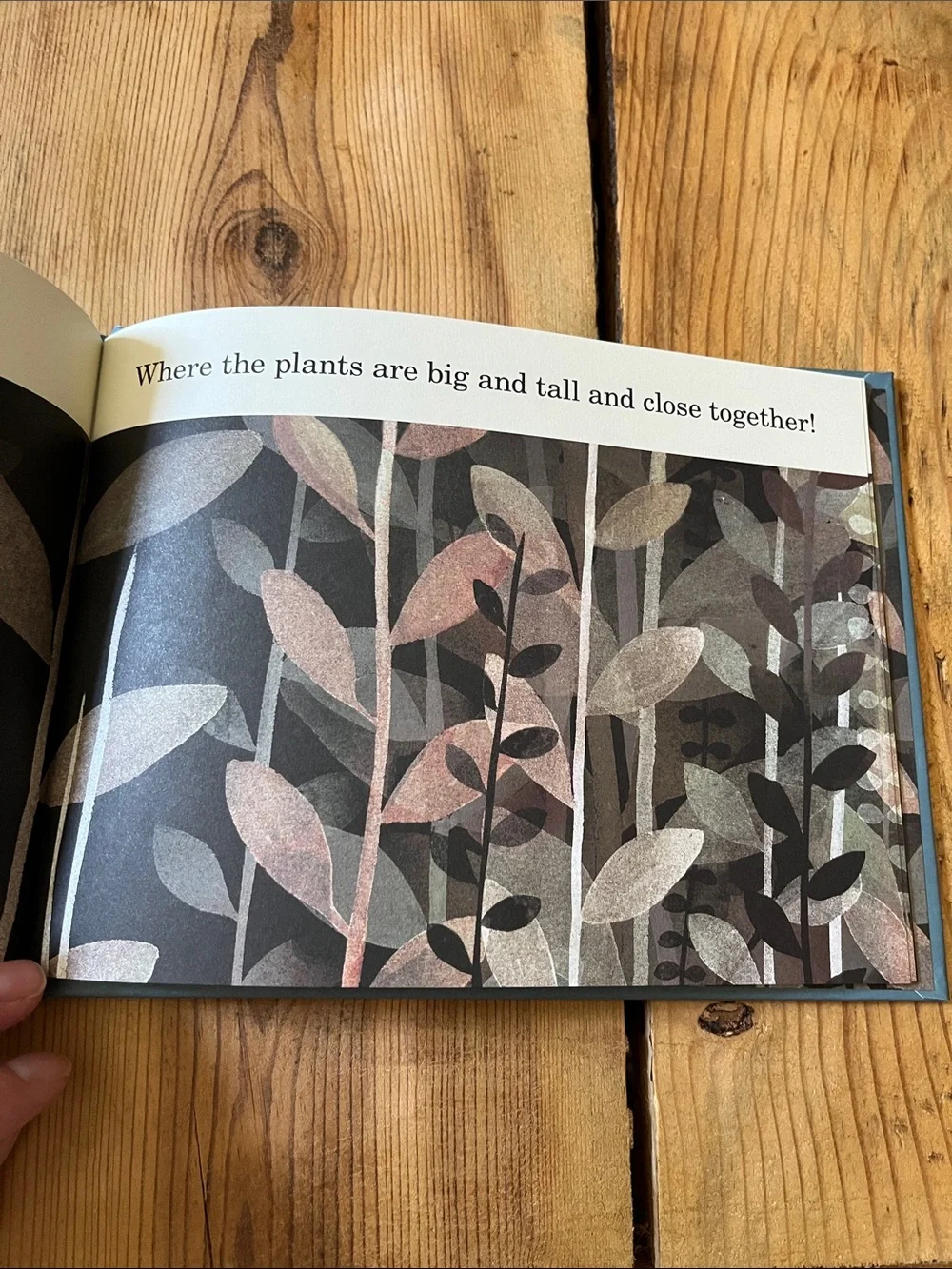 Jon Klassen 